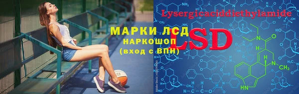 прущие грибы Алексин