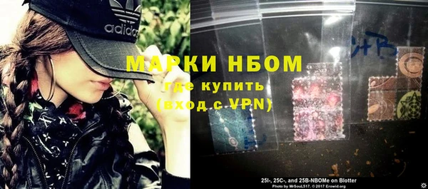гидропоника Алзамай
