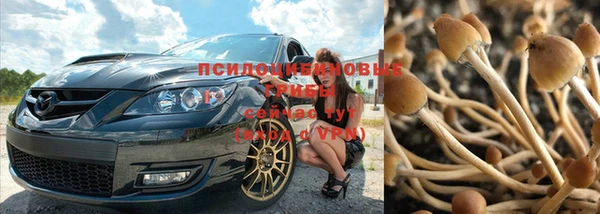 гидропоника Алзамай