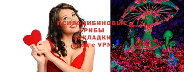 гидропоника Алзамай