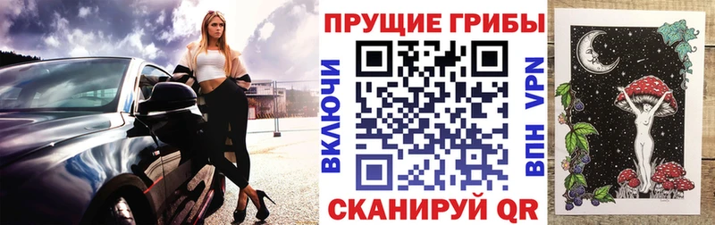 Купить где  Арсеньев  Галлюциногенные грибы Magic Shrooms 